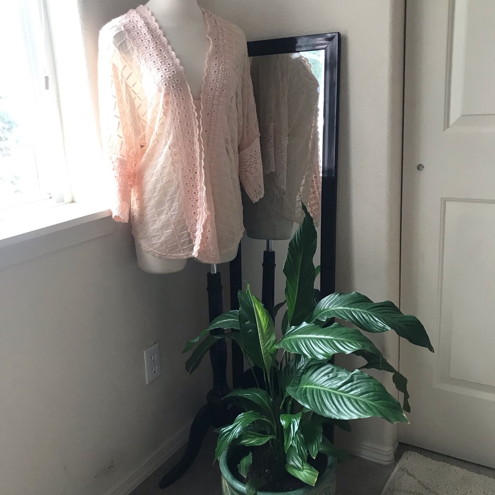 XCVI Pink Lace Top Sz Small in EUC